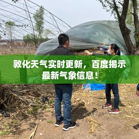 敦化天气实时更新，百度揭示最新气象信息！