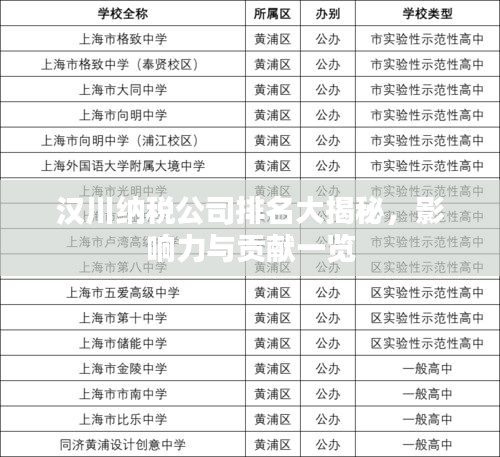 汉川纳税公司排名大揭秘，影响力与贡献一览