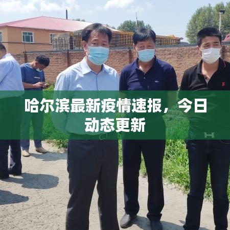 哈尔滨最新疫情速报，今日动态更新