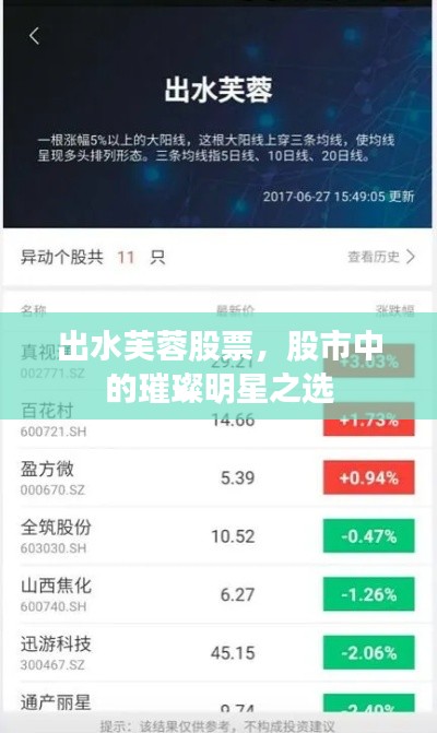 出水芙蓉股票，股市中的璀璨明星之选