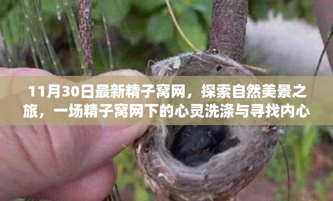 鸟为食亡 第3页