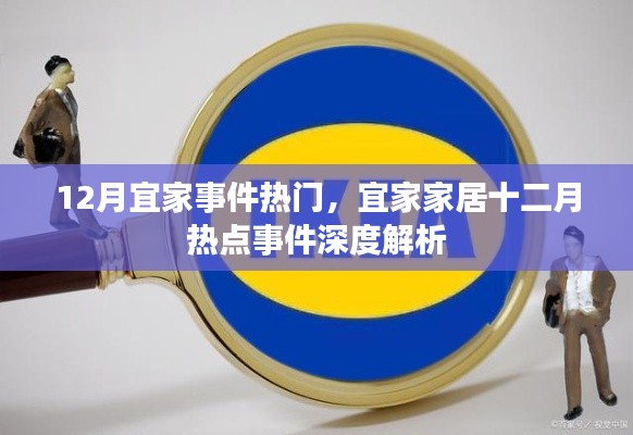 宜家十二月热点事件深度解析，宜家家居的热门事件回顾