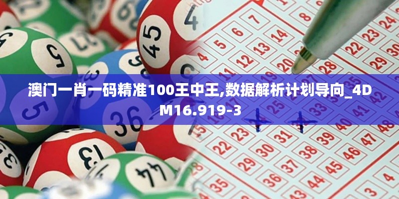 澳门一肖一码精准100王中王,数据解析计划导向_4DM16.919-3