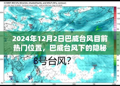巴威台风下的隐秘小巷，味蕾与探索的盛宴开启