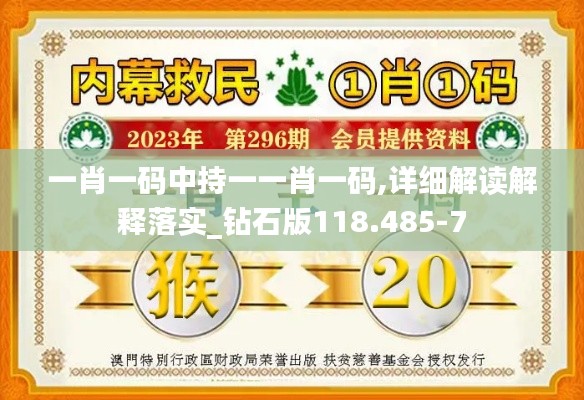 一肖一码中持一一肖一码,详细解读解释落实_钻石版