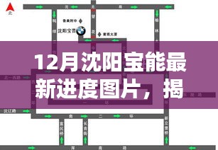 指李推张 第3页