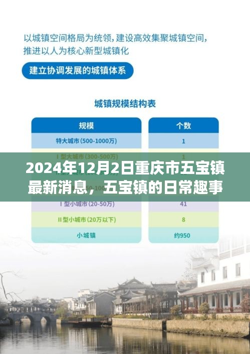 重庆市五宝镇2024年12月2日最新动态，日常趣事与温馨时光