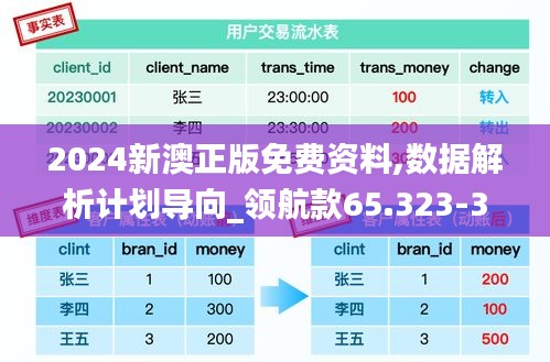 2024新澳正版免费资料,数据解析计划导向_领航款65.323-3