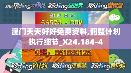 澳门天天好好免费资料,调整计划执行细节_X24.184-4