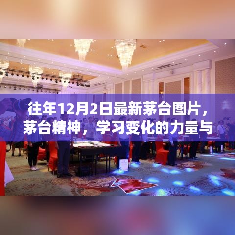 往年12月2日茅台最新动态，精神传承与自信成就之舞