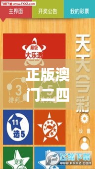正版澳门二四六天天彩牌,互动性执行策略评估_静态版173.708-5