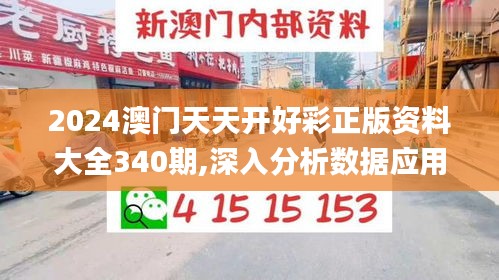 2024澳门天天开好彩正版资料大全340期,深入分析数据应用_kit59.736-8