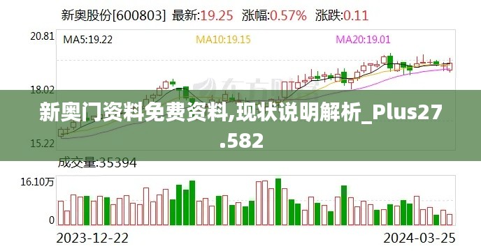 新奥门资料免费资料,现状说明解析_Plus27.582
