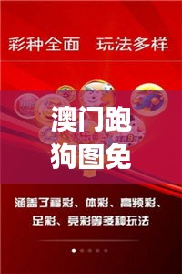 雍容华贵 第3页