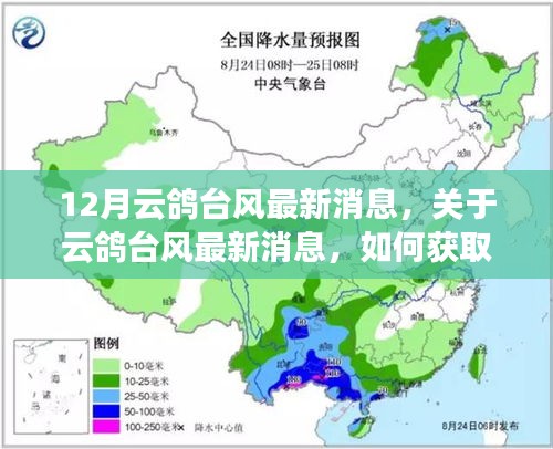 云鸽台风最新动态，获取与分析台风信息的步骤指南（适合初学者与进阶用户）