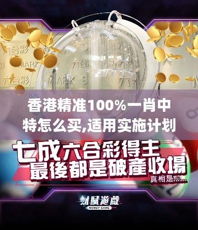 香港精准100%一肖中特怎么买,适用实施计划_SHD1.952