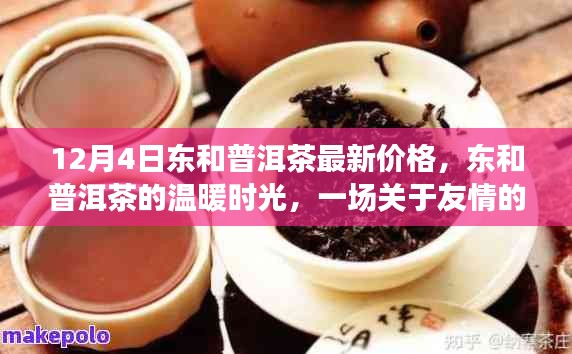东和普洱茶最新价格揭秘，友情的茶话会，温暖时光开启