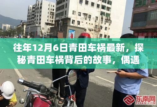 往年12月6日青田车祸最新，探秘青田车祸背后的故事，偶遇小巷深处的独特小店