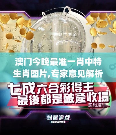 独学寡闻 第3页