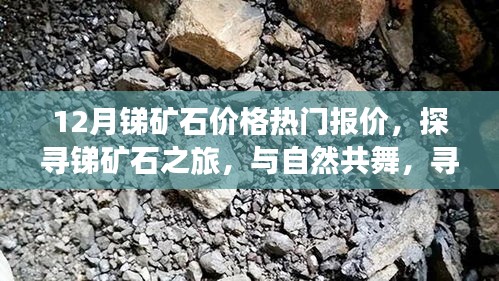 省吃俭用 第3页