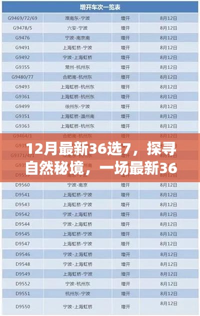 探寻自然秘境，最新36选7的心灵之旅