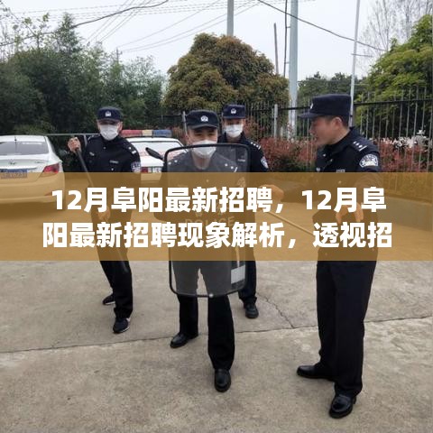 凤凰于飞 第3页