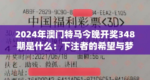 2024年澳门特马今晚开奖348期是什么：下注者的希望与梦想