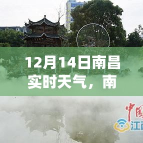 丰容盛鬋 第4页