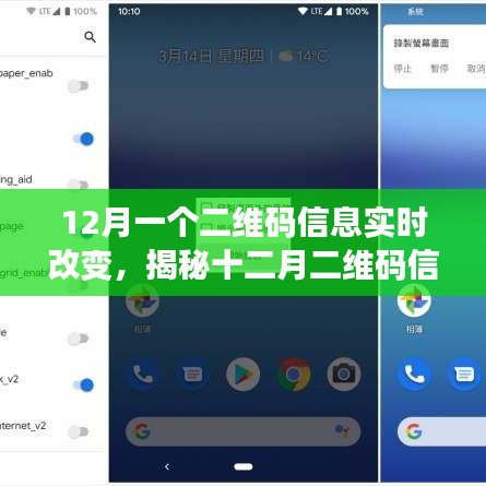 揭秘十二月二维码信息实时更新之谜，动态二维码实时改变探秘