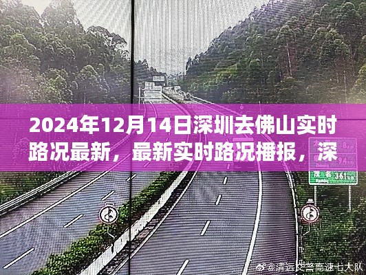达官贵人 第3页