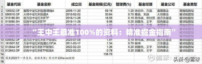 “王中王最准100%的资料：精准掘金指南”