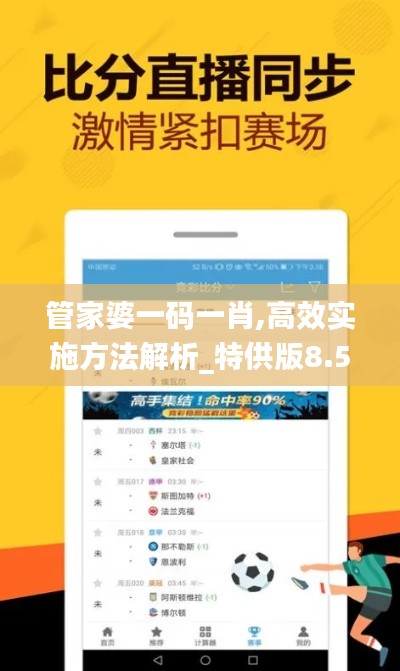 管家婆一码一肖,高效实施方法解析_特供版8.521