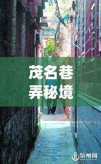 张张屈屈 第2页