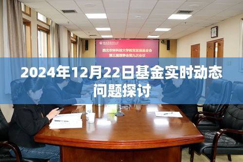 基金实时动态探讨，聚焦2024年12月22日最新动态
