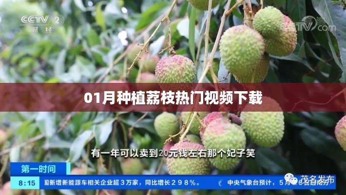 破马张飞 第2页