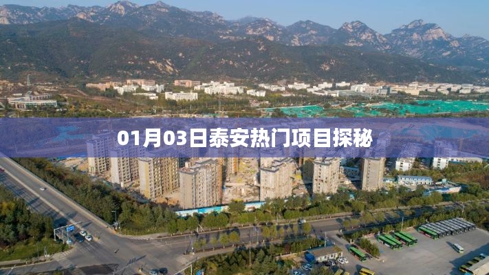 一本正经 第2页