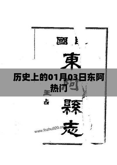 草间求活 第2页