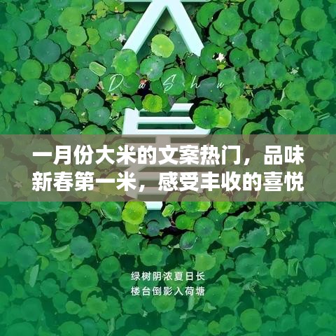 新春第一米，品味丰收喜悦，一月份大米文案精选