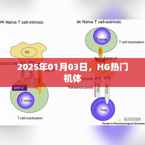 不期而遇 第2页