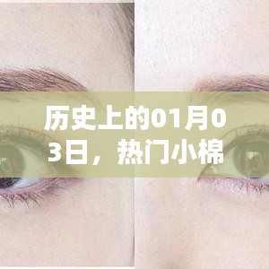 热门小棉花的历史时刻，一月三日回顾