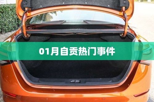 自贡热点事件回顾，一月大事件盘点