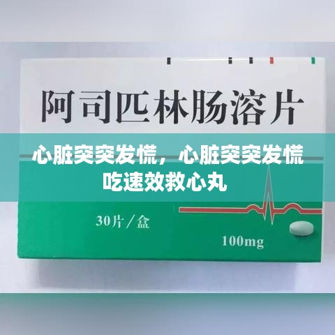 意气风发 第2页