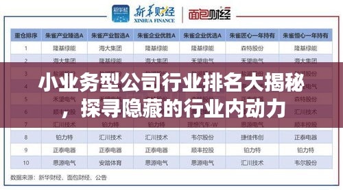 小业务型公司行业排名大揭秘，探寻隐藏的行业内动力