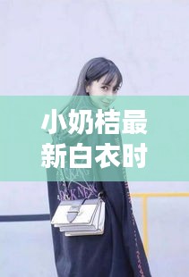 纲挈目张 第2页