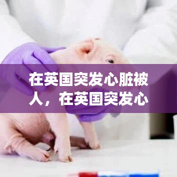 花香鸟语 第2页