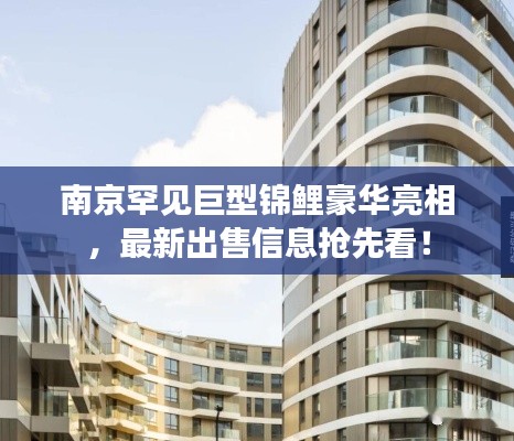 南京罕见巨型锦鲤豪华亮相，最新出售信息抢先看！