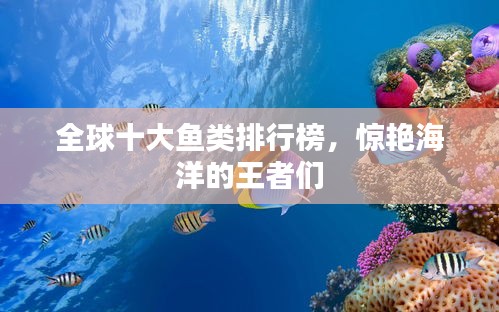 鸟飞兔走 第2页