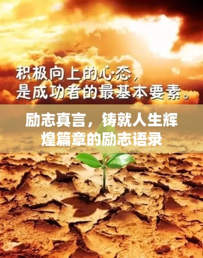 勤勤恳恳 第2页