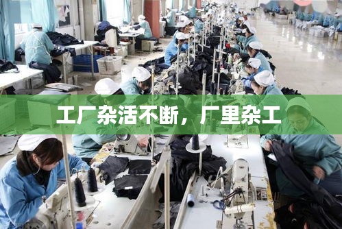 工厂杂活不断，厂里杂工 
