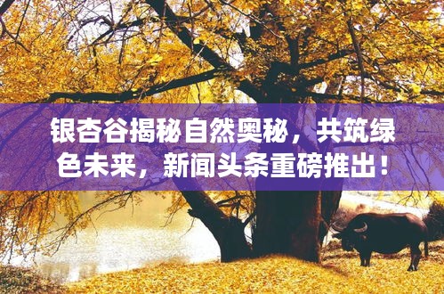 仪态万方 第2页